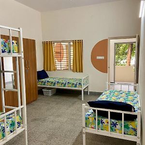Single Bed 4-Bed Dormitory Room